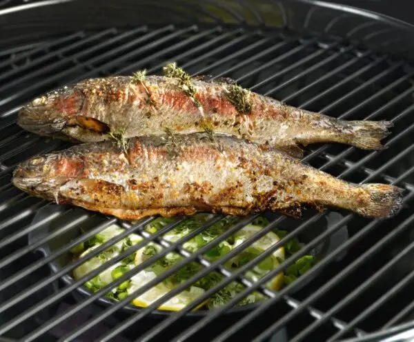 Outdoor Chef Cast Iron Aroma Pan - Image 3